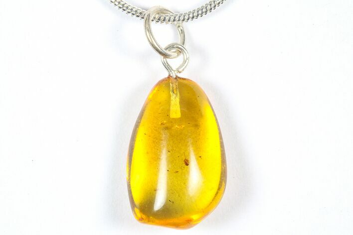 Polished Baltic Amber Pendant (Necklace) - Aphid Nymph! #369023